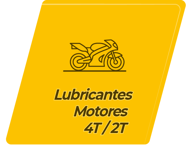 REX100MAX_CATEGORIA_4T_2T