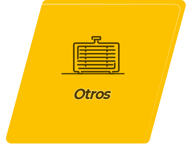 REX100MAX_CATEGORIA_OTROS